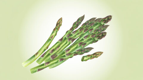 Chřest: Zelenina plná antioxidantů, která prospívá střevům i kostem – jak z něj vytěžit maximum