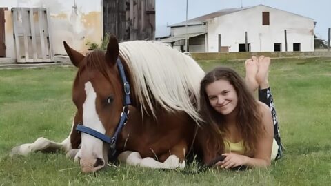 Etický výcvik: Koně na větší jemnost reagují okamžitě. Přátelství nelze stavět na aroganci