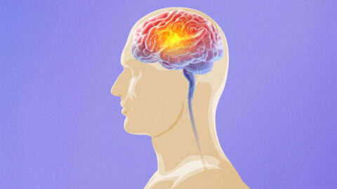 Co dělá mozky „superagerů“ tak výjimečnými