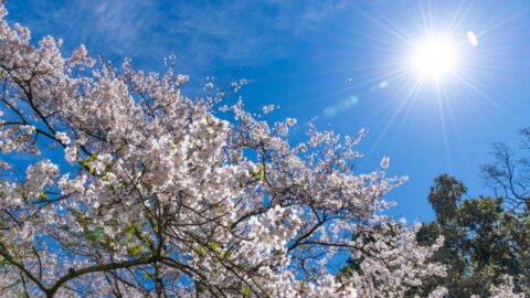 Čeká nás slunečný týden bez srážek, o víkendu může být až 25 stupňů