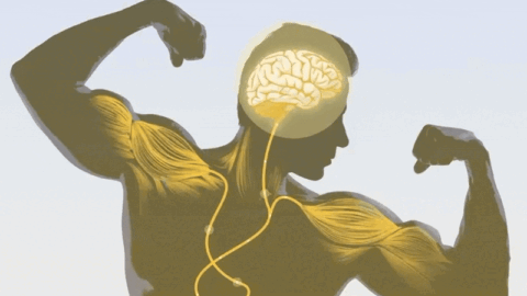 Síla mysli: Jak mentální trénink dokáže skutečně posílit vaše svaly