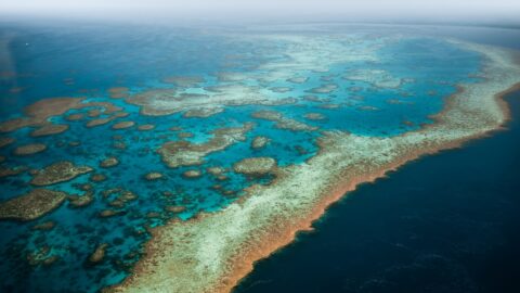 Zachráníme Velký bariérový útes? Australští vědci nasazují revoluční technologie