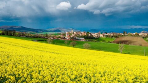 Babišovy zájmy? „V Bruselu si musí dávat velký pozor, co teď od české vlády jde,“ říká zástupce drobných farmářů