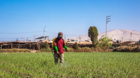 Vědci v Peru popsali nový postup mapování vlivu pesticidů na výskyt rakoviny