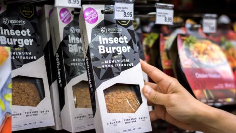 Proč největší švýcarské supermarkety ukončily prodej potravin s hmyzem