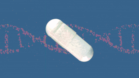 Populární vitamin proti stárnutí může ovlivnit léčbu rakoviny slinivky