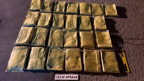 Brněnští celníci zadrželi 800 kg nelegálního kratomu, dosud nejvíc v ČR