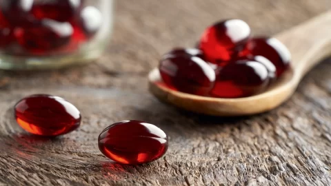 Krillový olej jako alternativa omega-3 a antioxidant: přínosy a rizika pod lupou