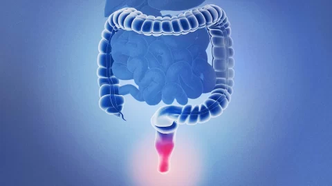 Nová přehledová studie ukazuje osvědčené postupy při léčbě hemoroidů