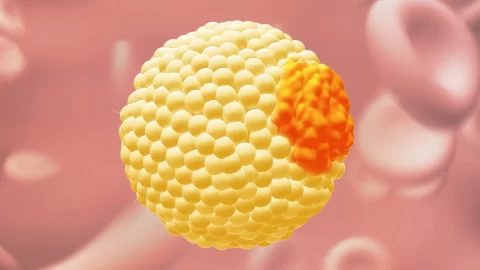 Běžný test cholesterolu nemusí odhalit všechna rizika. Pomoci může vyšetření apoB