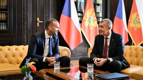 Česko dodá Černé Hoře zbraně v hodnotě 24,2 milionu eur, oznámil Babiš