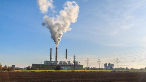Hlídač státu: Největšími soukromými příjemci dotací byly loni energetické firmy