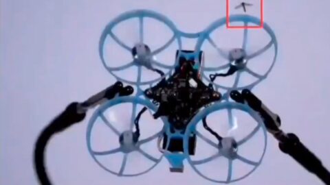 Francouzští inženýři vyvinuli autonomní dron k hubení komárů přímo za letu