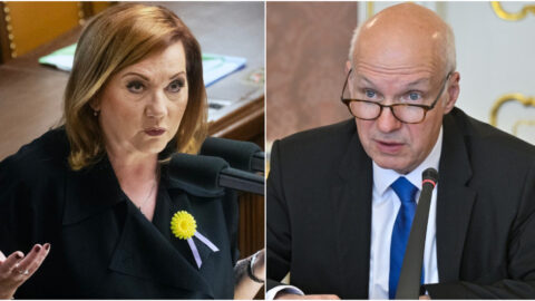 Fischer: Shoduje se vláda ohledně Ruska s programem AfD? Schillerová: Ne, ztotožňuje se se závěry Evropské rady