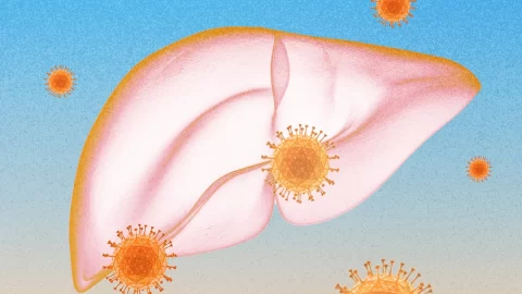 Nový lék nabízí naději na vyléčení chronické hepatitidy B