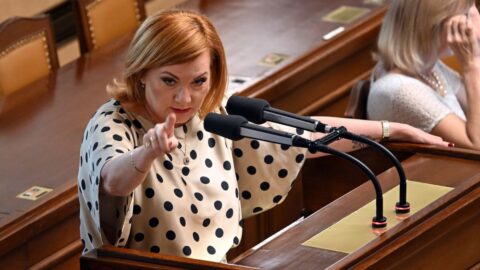 Sněmovna schválila znovu zavedení EET od příštího roku bez tištěných účtenek