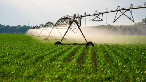 Možnosti farmářů proti suchu jsou omezené, závlahy fungují jen u části plodin